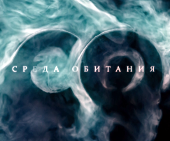 Среда обитания: Ремонт как стихийное бедствие Среда обитания: Ремонт как стихийное бедствие